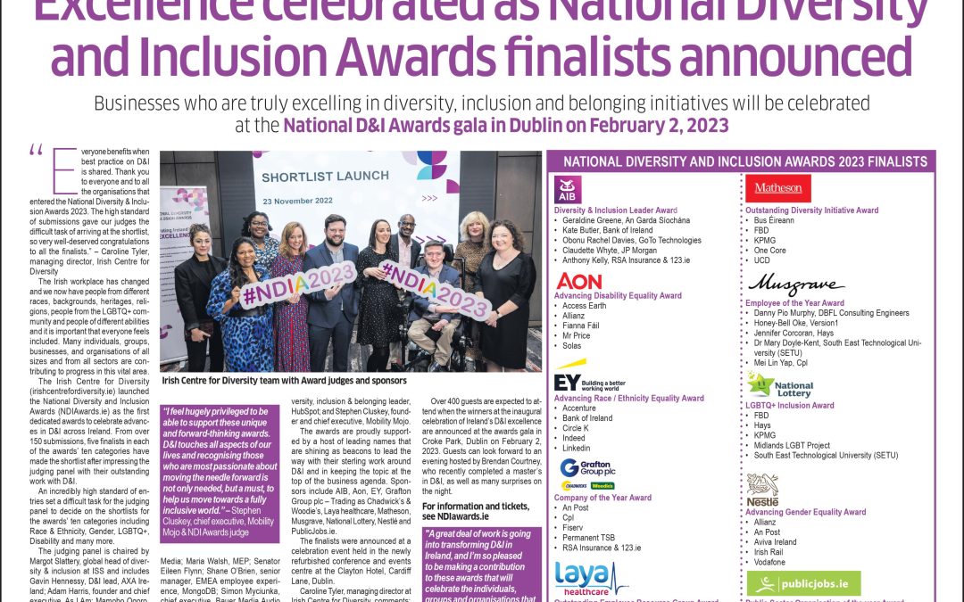 Sunday Business Post Profile; National Diversity and Inclusion Awards