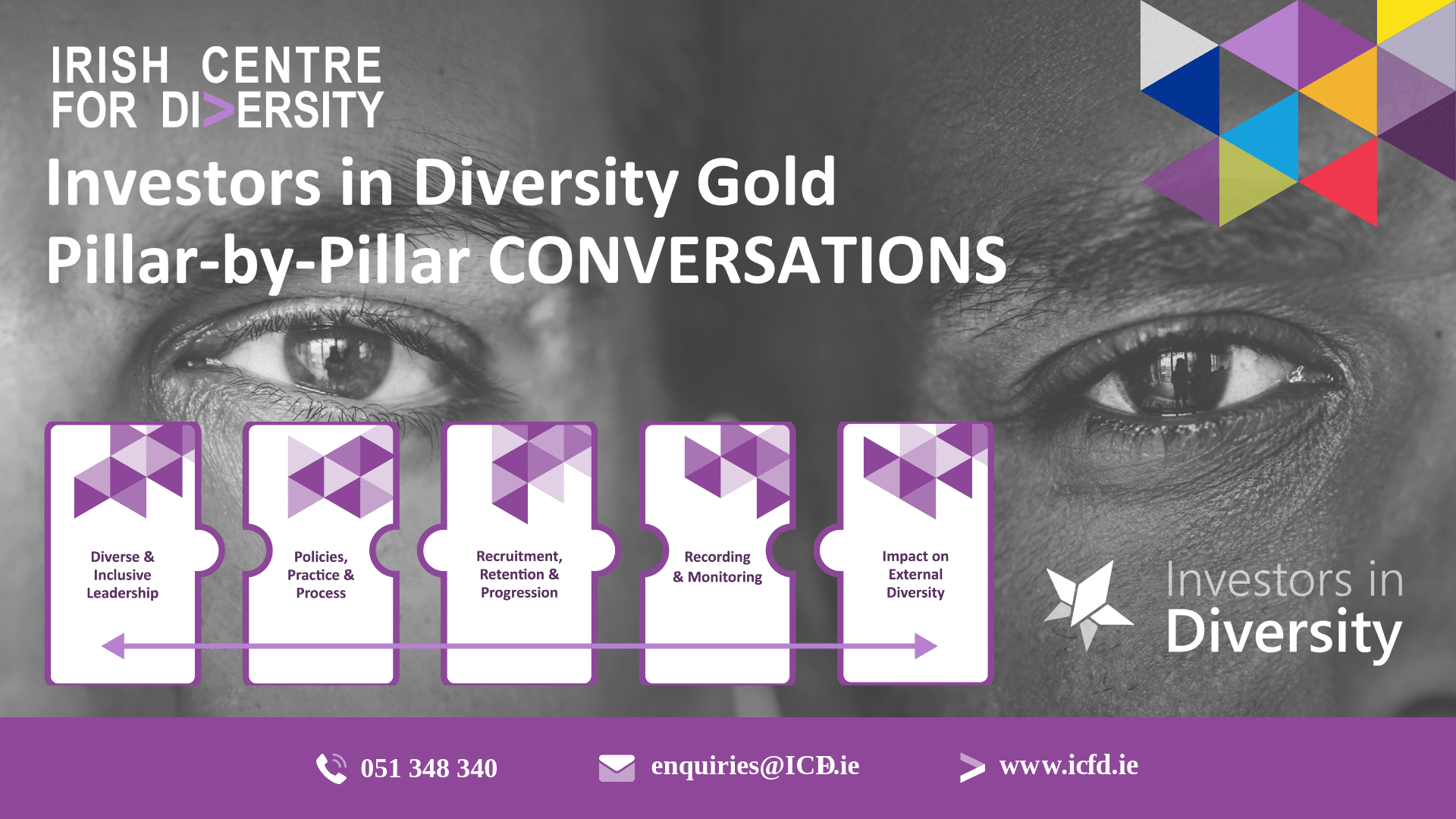 A digital flyer for a series of online events.  Pic shows a black and white background of two heads side by side, showing one eye from each person.  There are five purple jigsaw pieces with text on top of the faces.  There is also text about the event