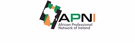 African Professionals Network or Ireland logo